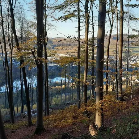 In The Rothaar Mountains Elpe