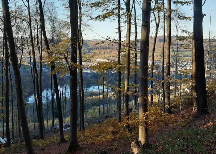 In The Rothaar Mountains Elpe