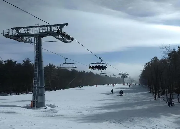 In The Rothaar Mountains Elpe