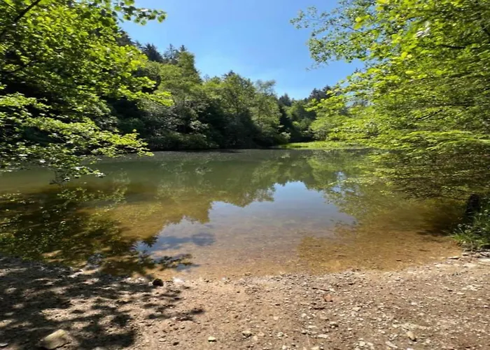 度假居 In The Rothaar Mountains *